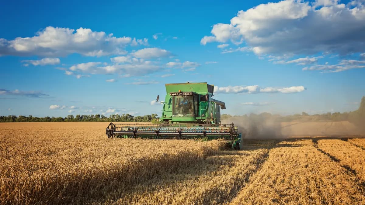 83% do crédito rural da soja teve aderência ao cultivo