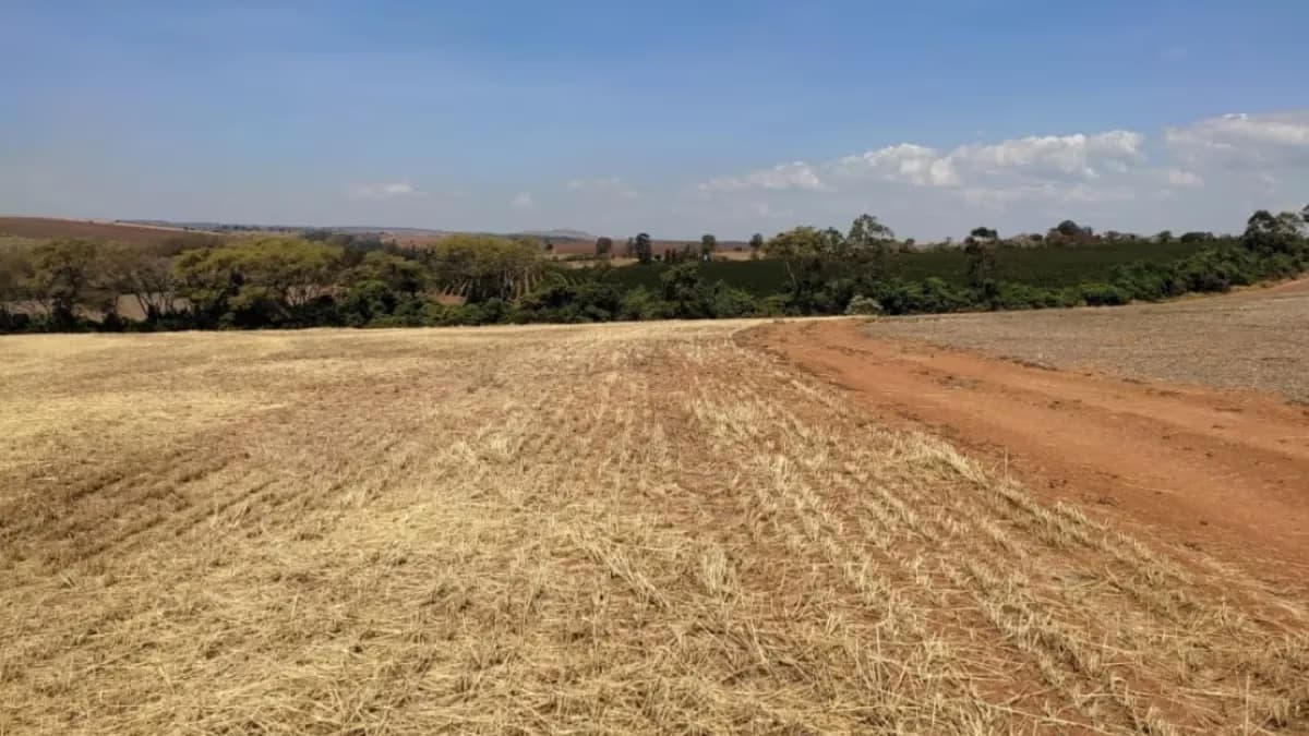 Acre define vazio sanitário para soja em 2026/27