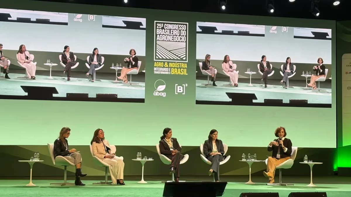 Agro avança no mercado de capitais, mas seguro rural trava