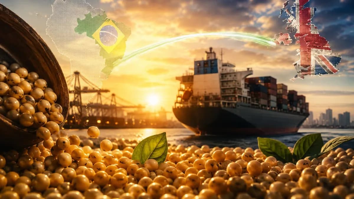 Agro brasileiro goleia Escócia em exportações históricas