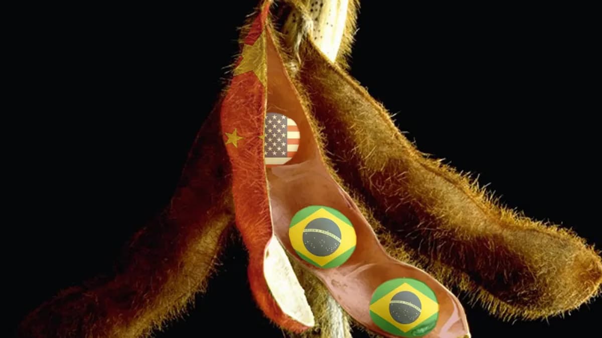 Agro vende 80% da soja à China, mas confia mais nos EUA