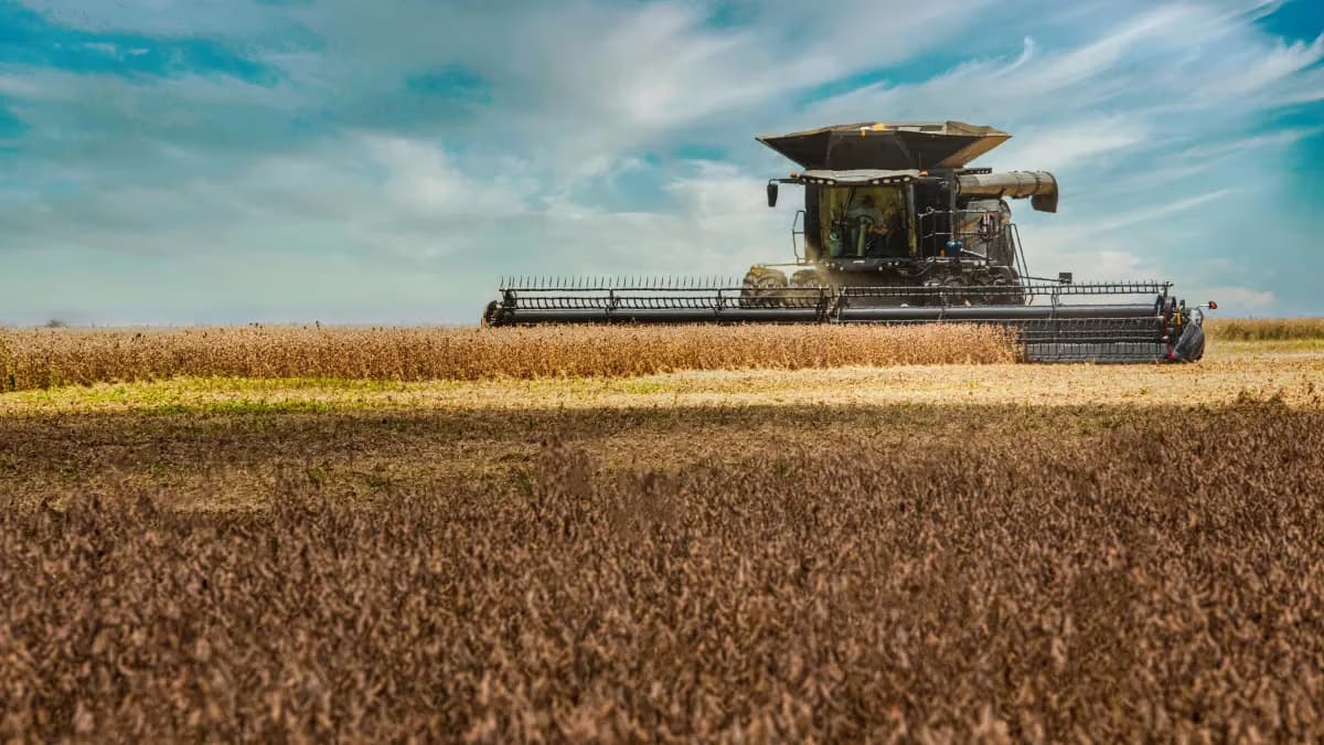 Aprosoja defende fundo garantidor para crédito rural