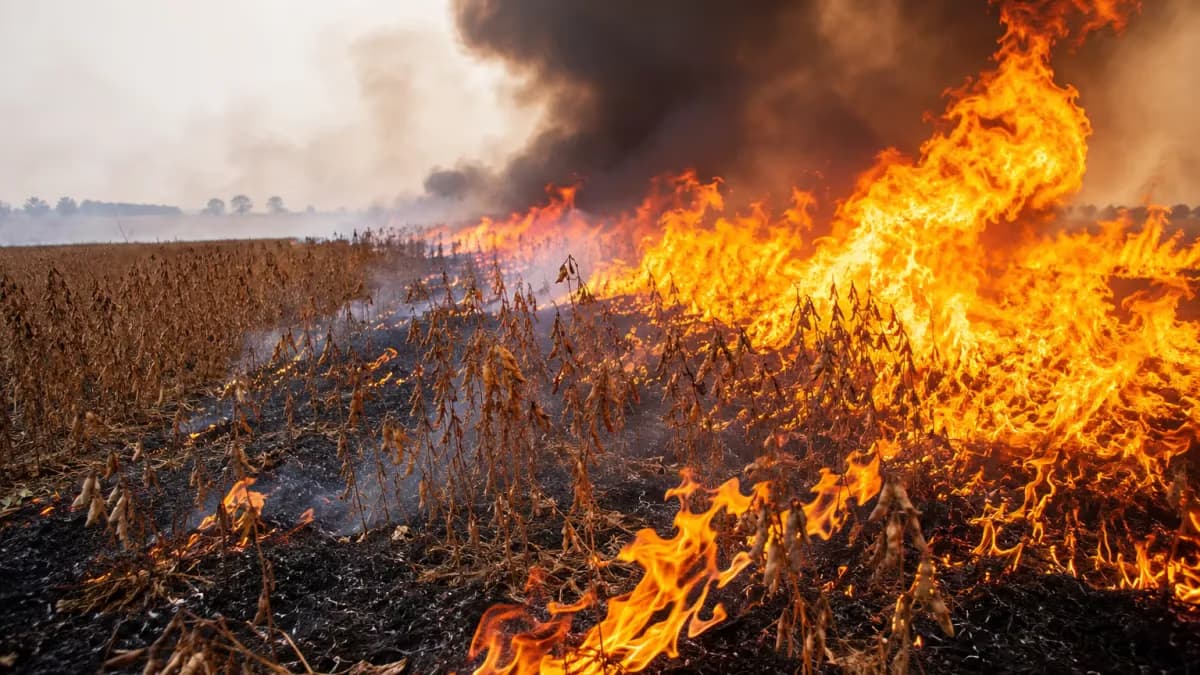 Aprosoja MT orienta produtores sobre prevenção e provas de incêndios