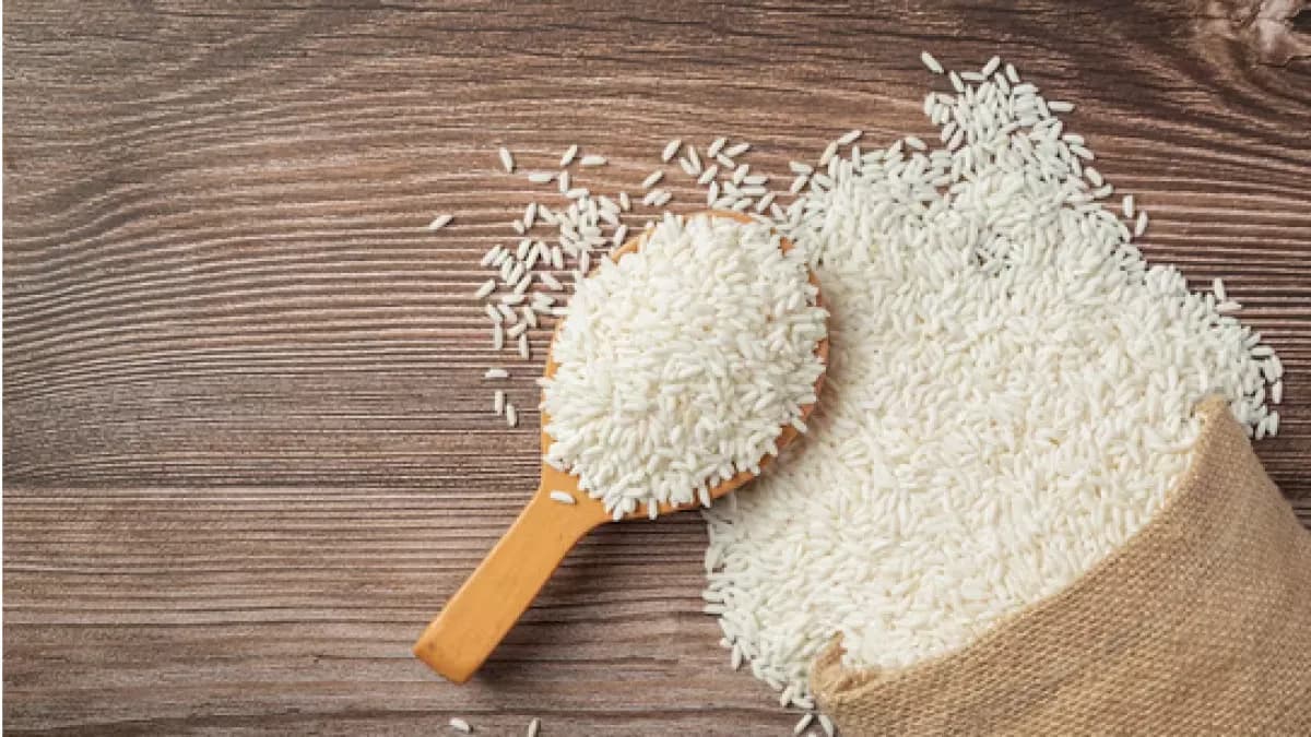 Arroz atinge maior preço em 11 meses com oferta restrita no RS