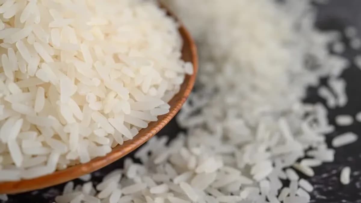 Arroz: preços caem e exportações reagem após abril