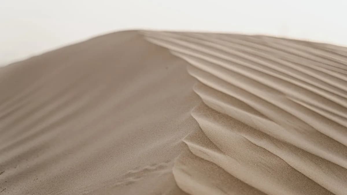 Atacadista do Paraná abre loja no maior deserto do mundo