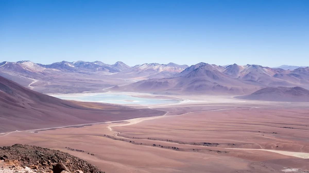 Atacadista do Paraná expande para maior deserto do mundo