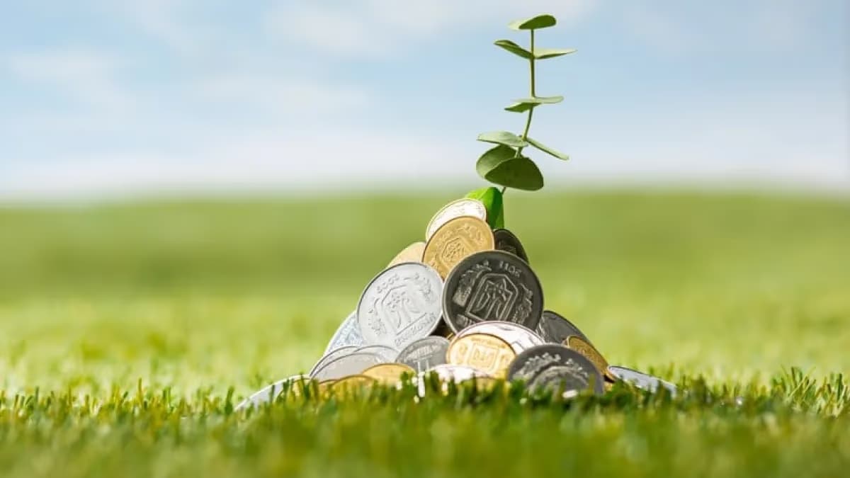 Atrasos no seguro rural podem elevar custos ao produtor