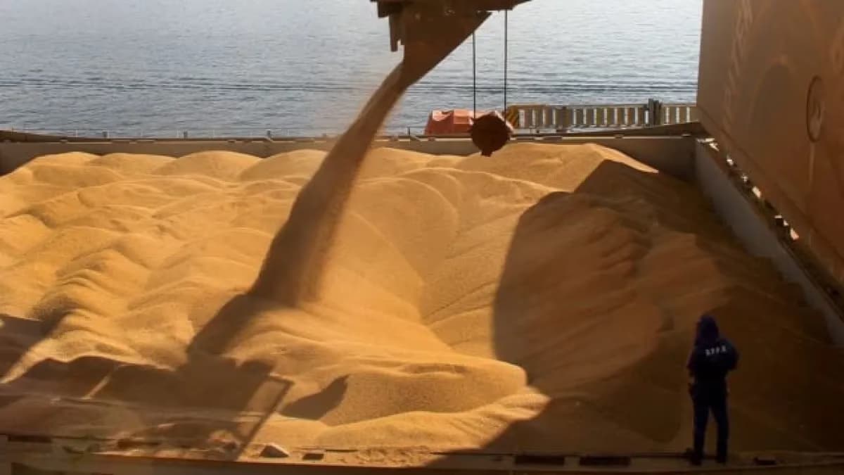 Brasil bate recorde nas exportações de soja em julho