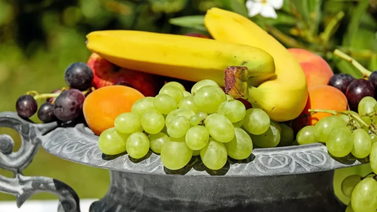 Brasil tem potencial para exportar mais frutas, diz Abrafrutas