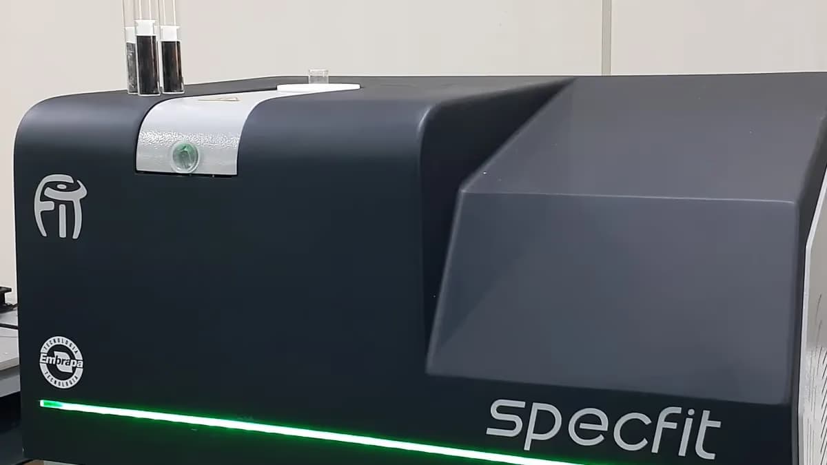 Brasil vende tecnologia de óleo de girassol à Ucrânia