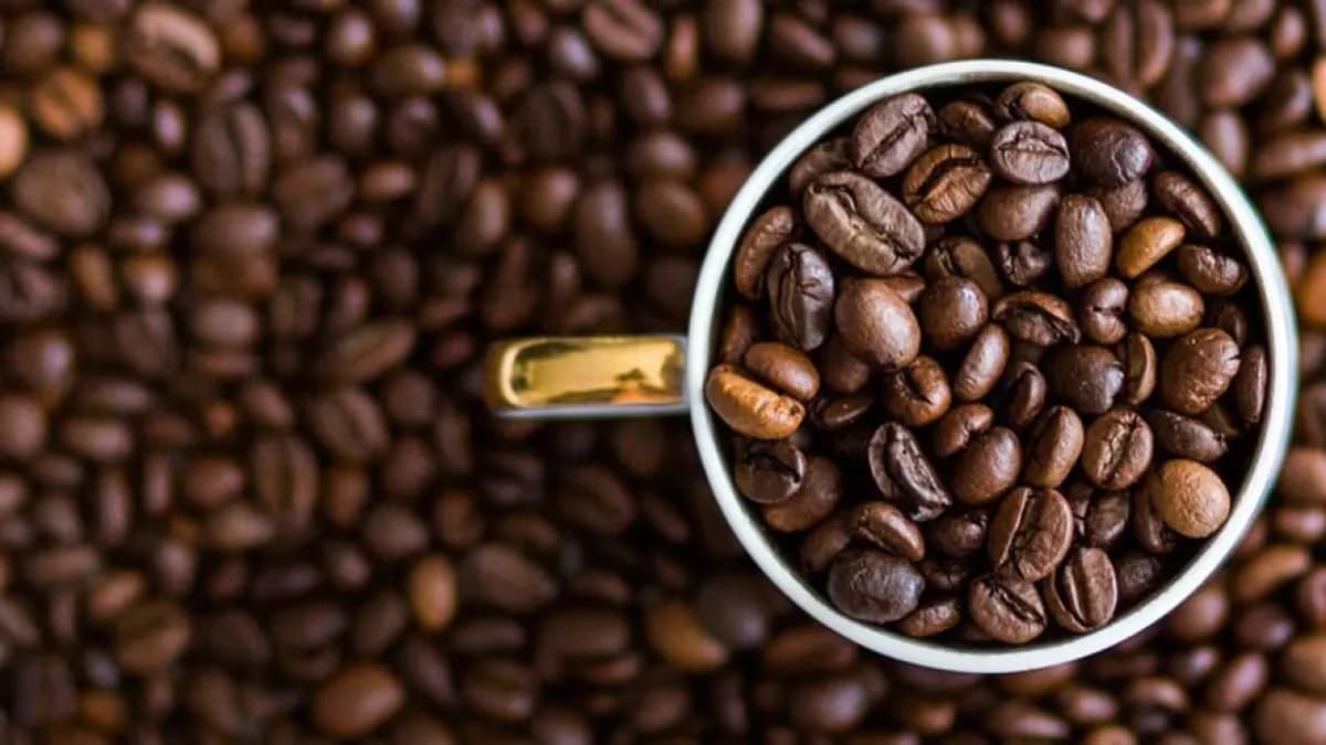 Café: exportações caem 18%, mas receita se mantém