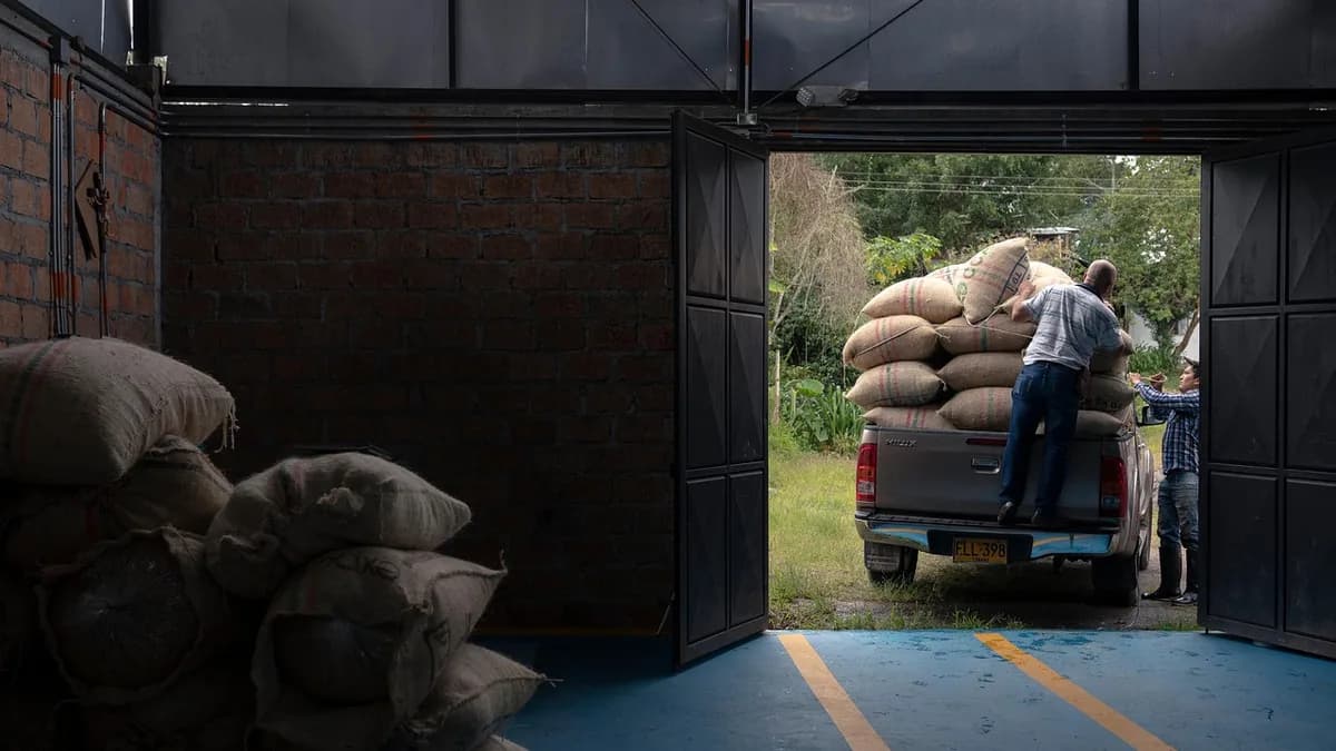 Cafés do Cerrado Mineiro são exportados para a China