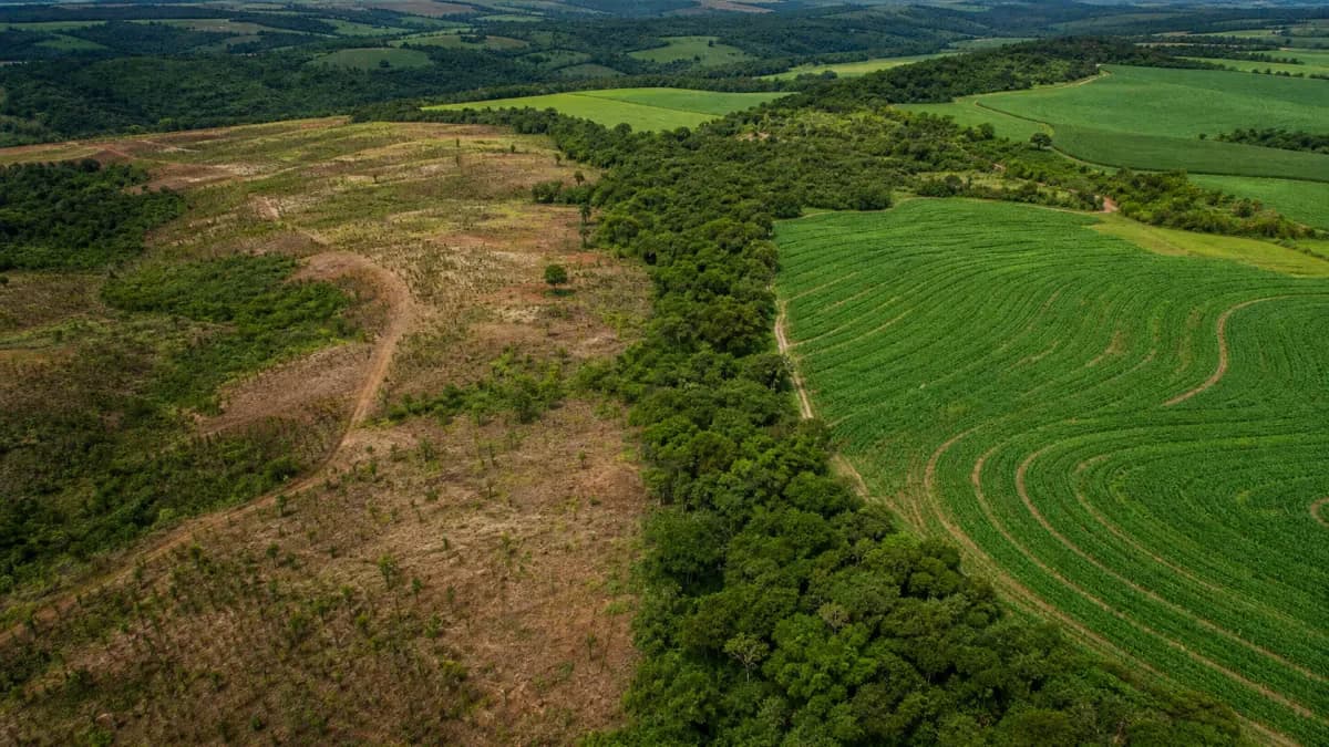 Caminho Verde Brasil é destaque em fórum internacional do agro
