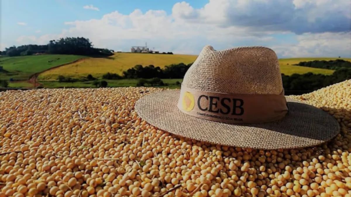Cesb revela vencedores do Desafio de Soja 2025/26