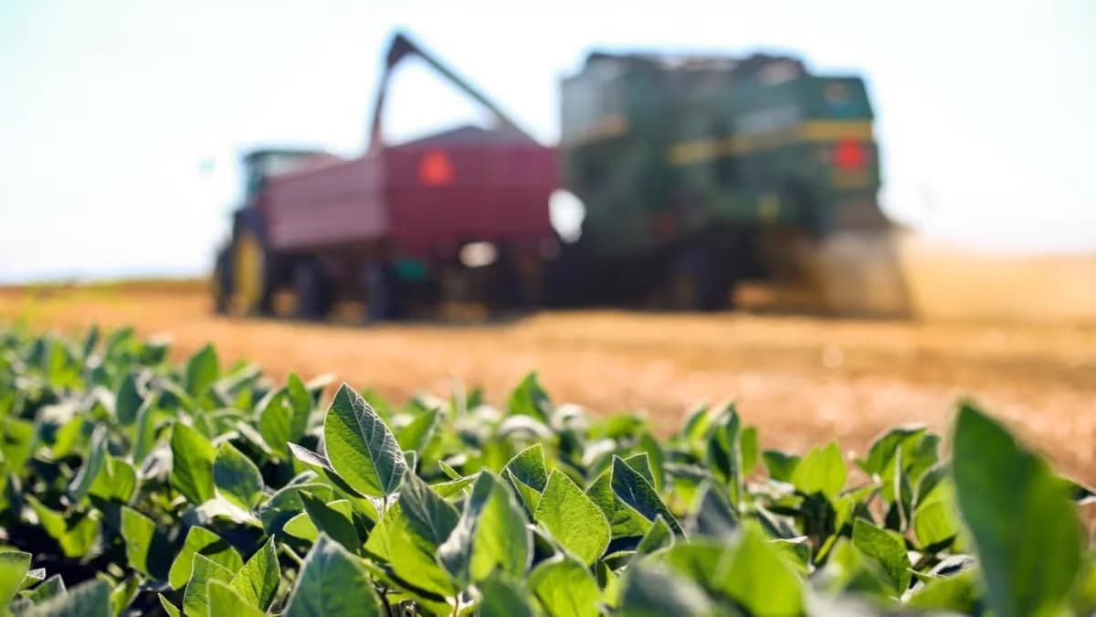 Cessar-fogo EUA-Irã: trégua no agro, não garantia
