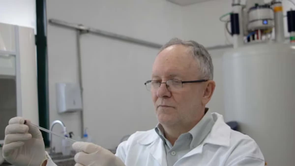 Cientistas criam impressão digital química para rastrear pescado