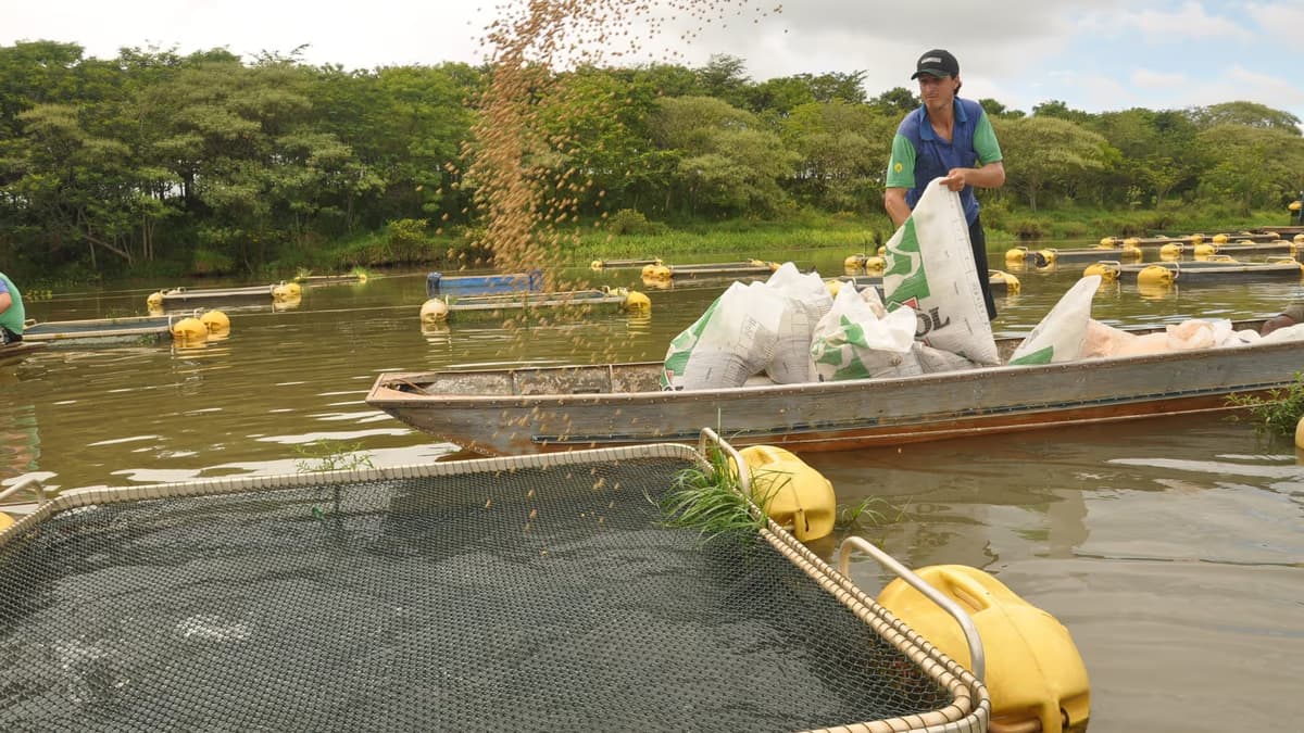 CNA pede fim de burocracia para aquicultores