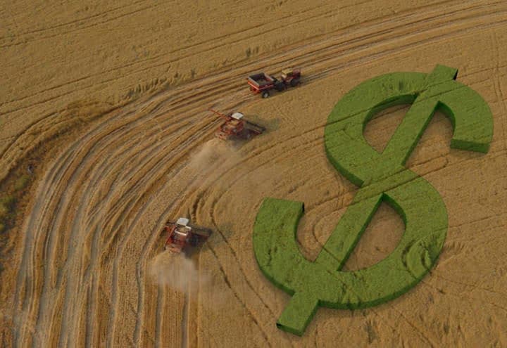 Crédito rural atinge R$ 404 bi com alta de 10%