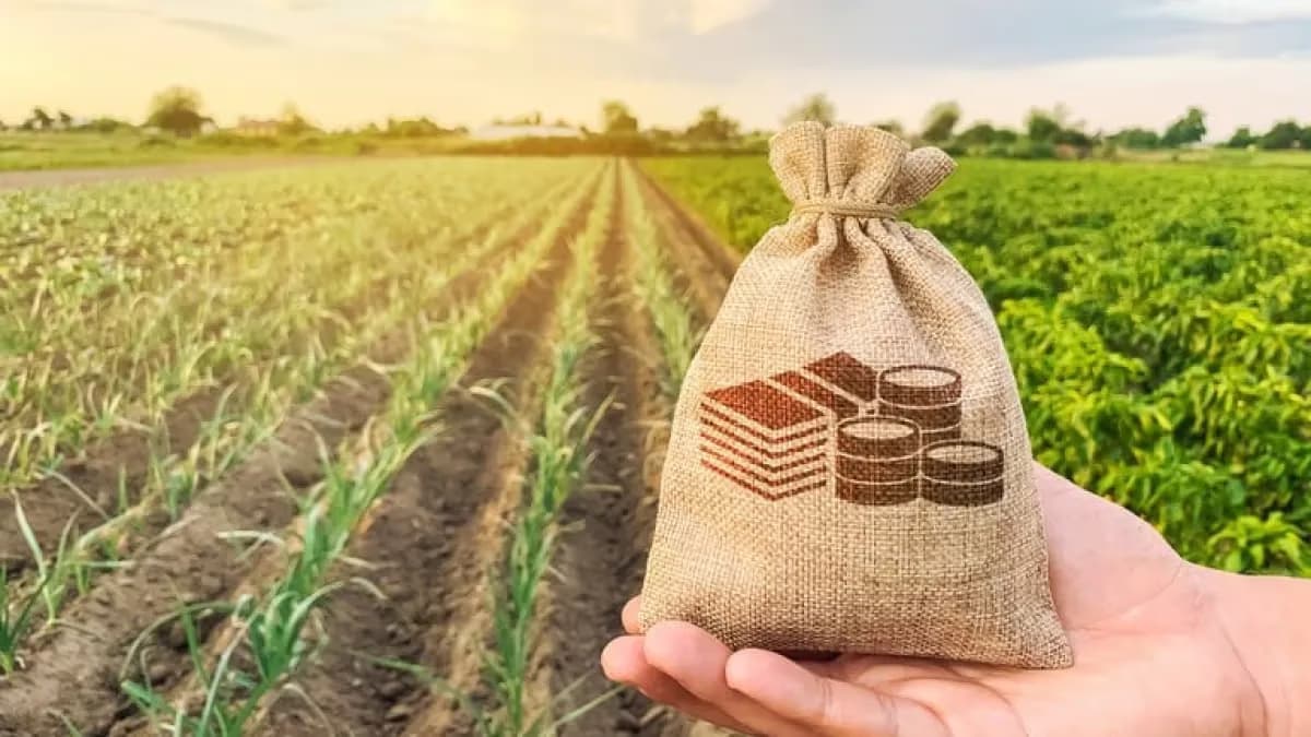 Crédito rural despenca e inadimplência cresce no campo