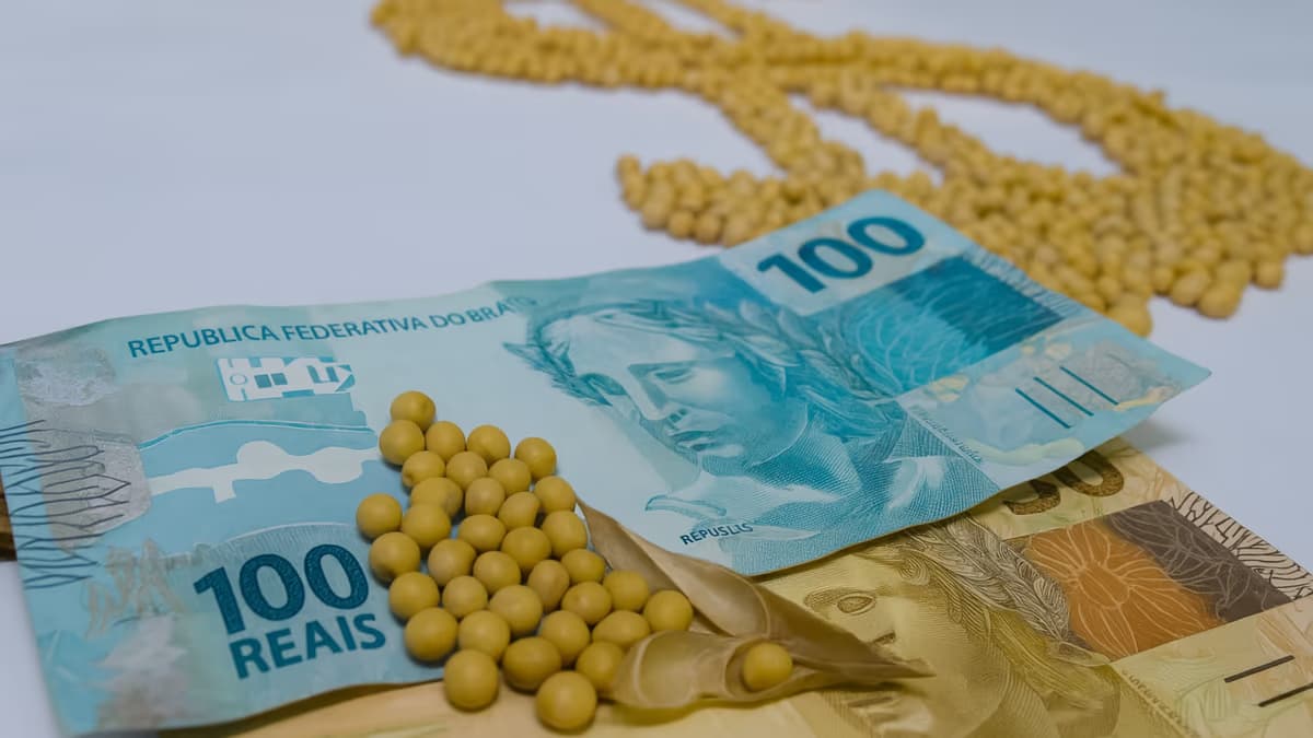 Dólar em queda pressiona preços da soja no Brasil