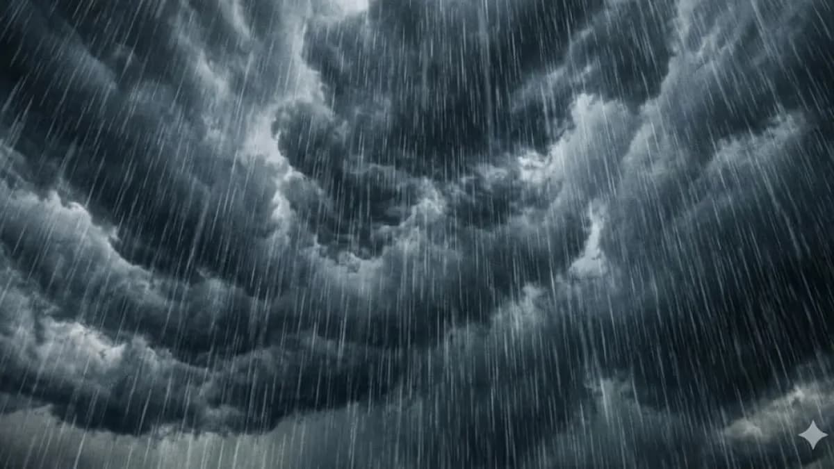 Embrapa orienta sojicultores a reduzir impactos do El Niño