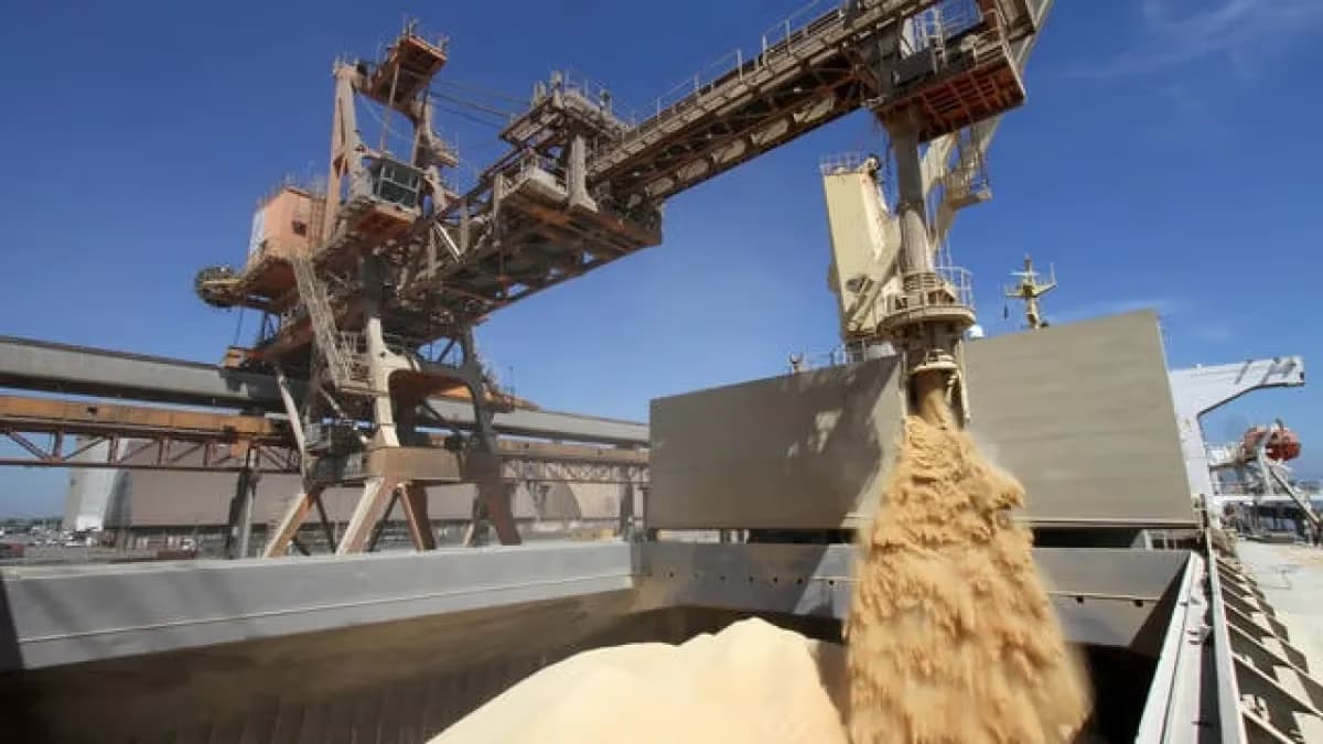 Exportações de soja do Brasil: 13,8 mi t em julho, projeta Anec