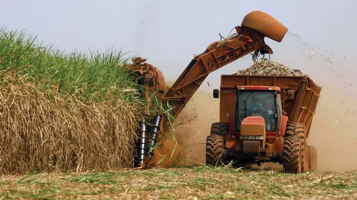 Governo publica MP para produtores de cana afetados por tarifaço