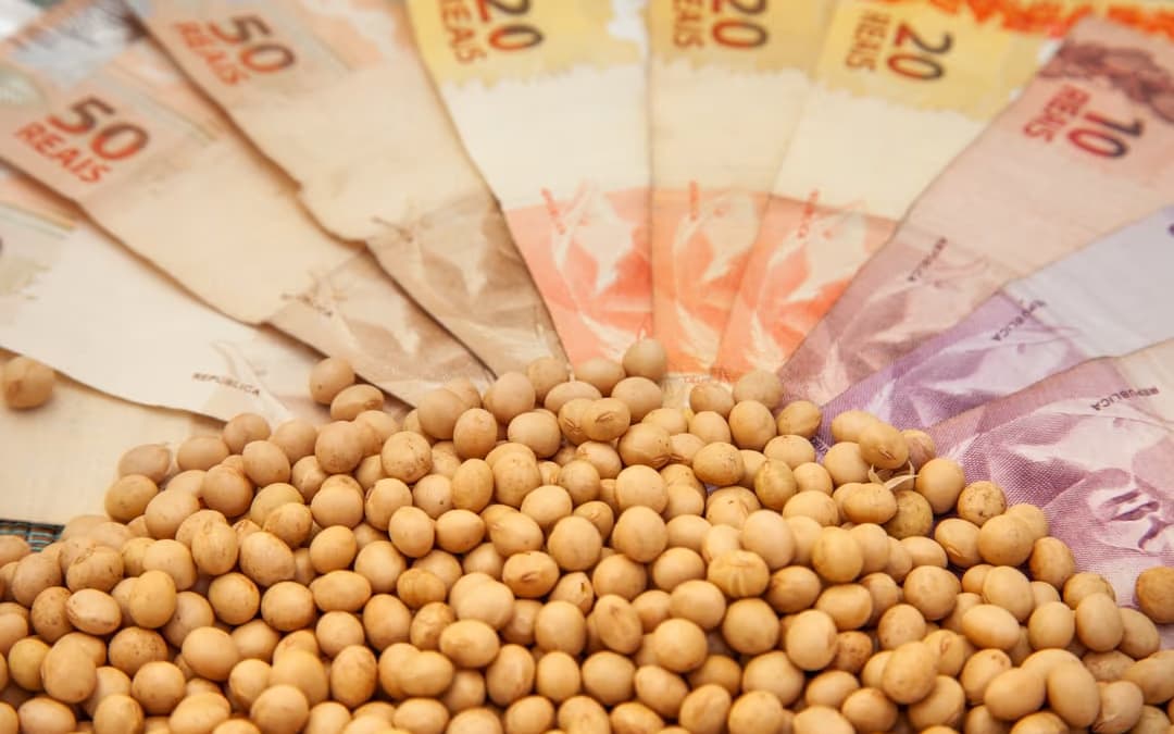 Mercado de soja travado no Brasil com produtor retraído