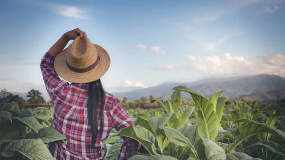 Mulheres gerem 30 mi de hectares, mas têm menos crédito