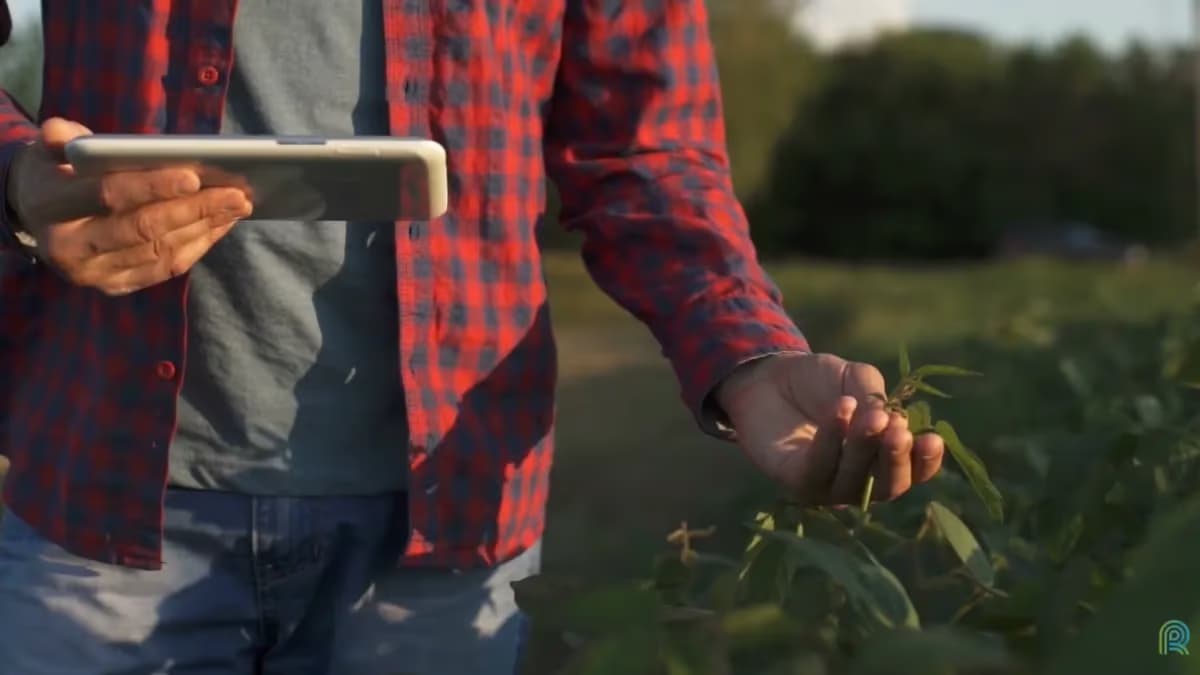Presidente da Embrapa: Agricultura do futuro será digital