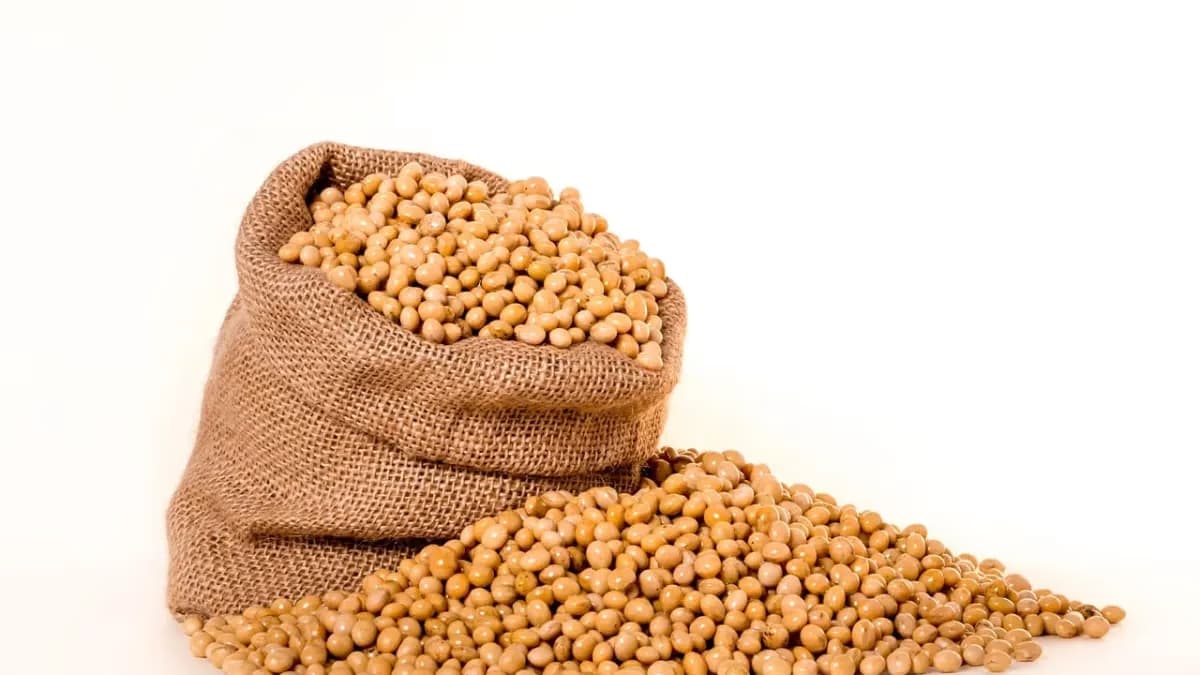 Produtor de soja segura vendas mesmo com preços firmes