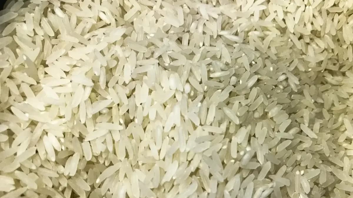 Produtores de arroz seguram vendas por R$ 80 no RS