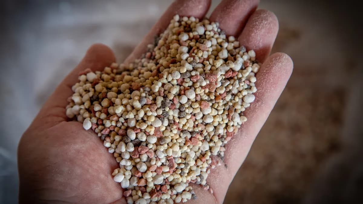 Queda na importação de fertilizantes impulsiona indústria nacional