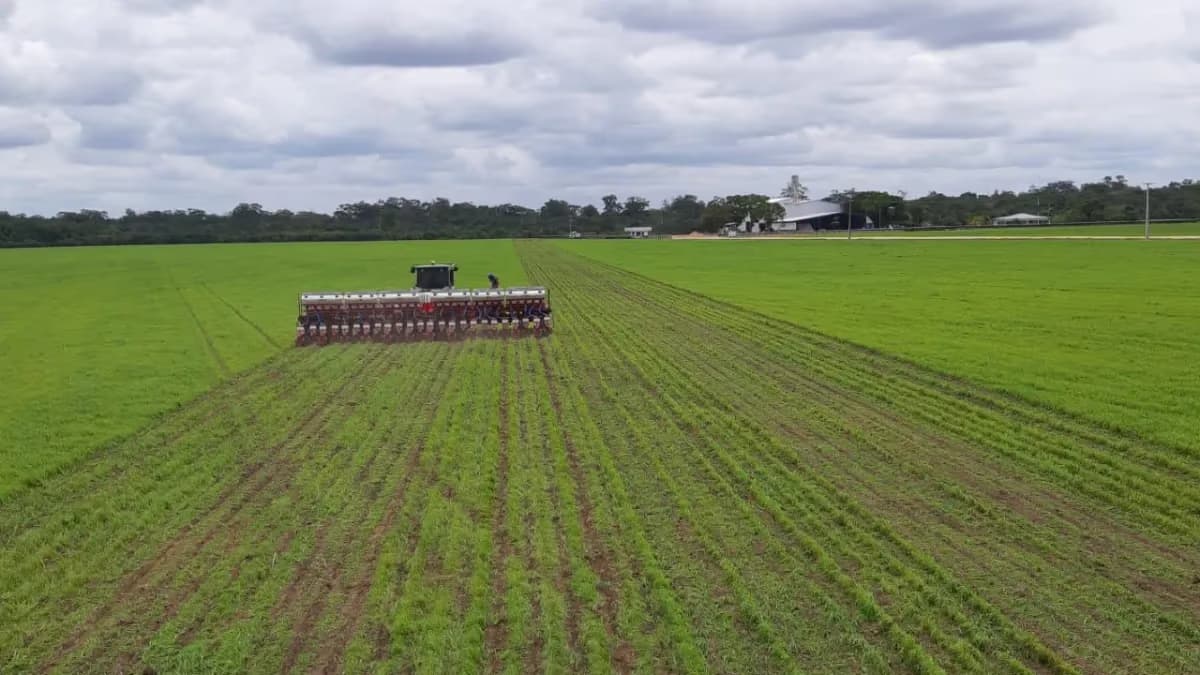 Roraima projeta crescimento de 9,4% na área de soja em 2026
