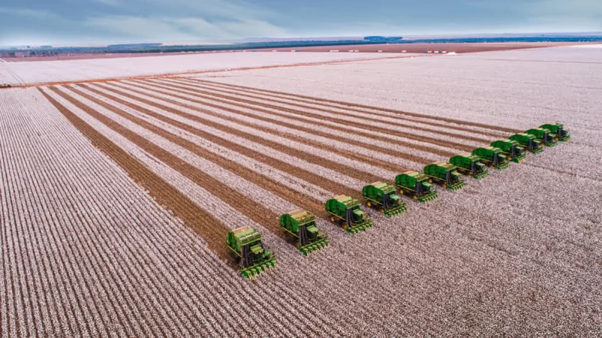 SLC Agrícola: receita recorde de R$ 2,2 bi e lucro 75% maior