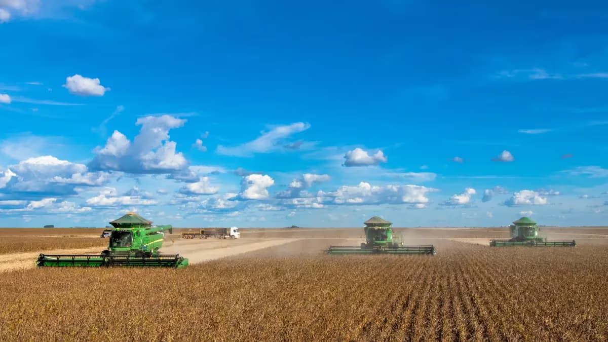 Soja brasileira: produzir mais ou gerar mais valor?