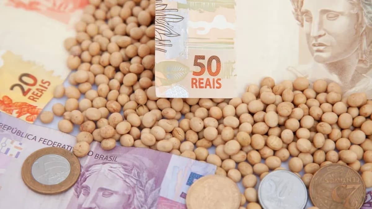 Soja: Chicago impulsiona preços no Brasil com alta de 2%
