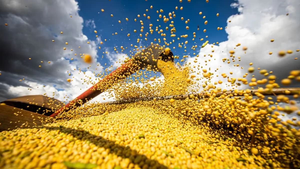 Soja: Chicago sobe com China; Brasil tem vendas fracas