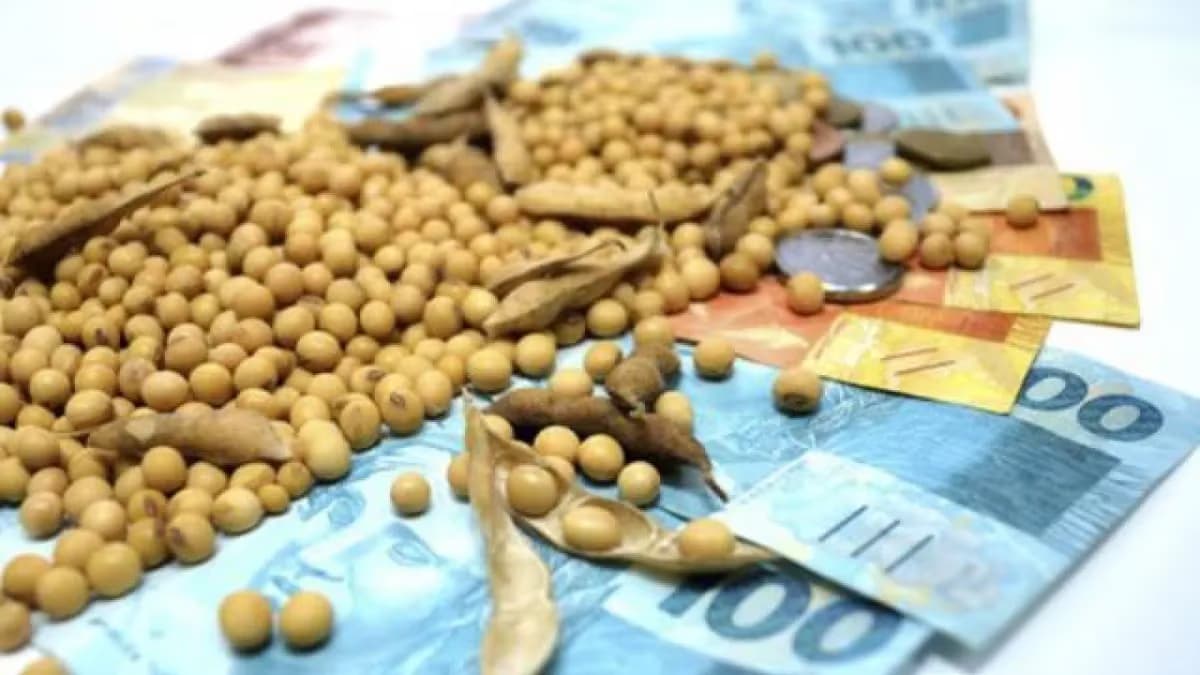 Soja: cotações estáveis em dia fraco; veja preços