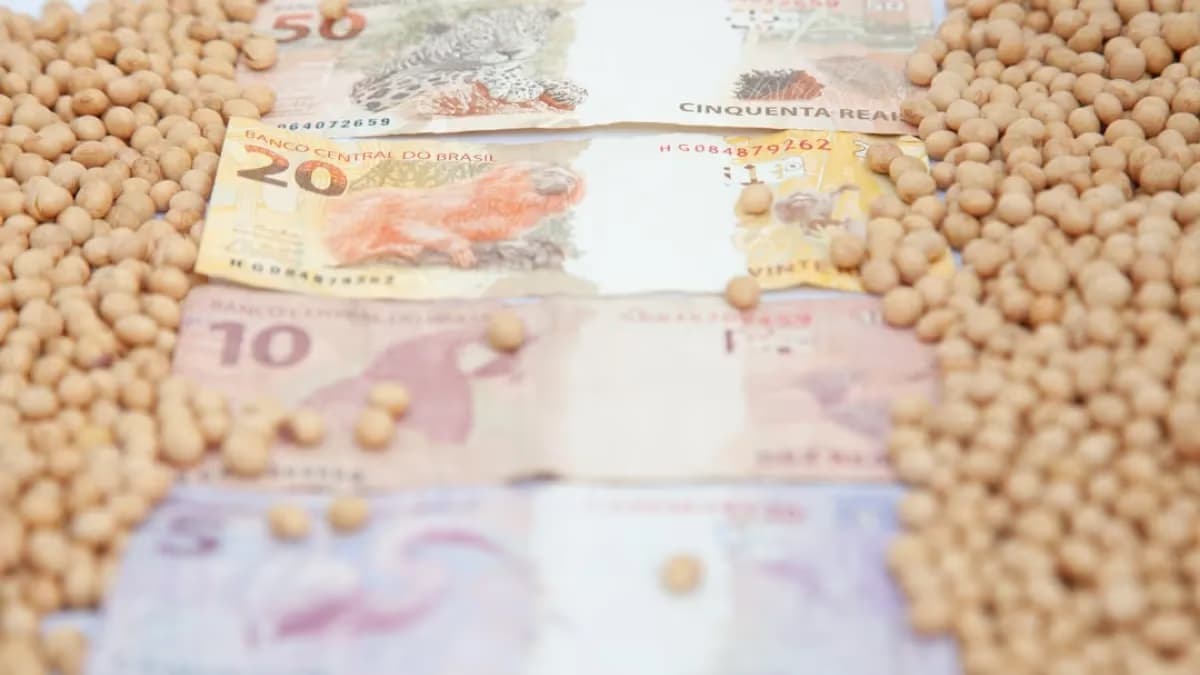 Soja firme com demanda aquecida e produtor retraído