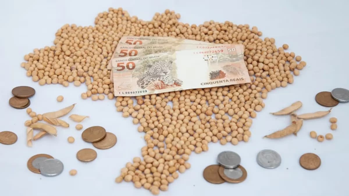 Soja: mercado limitado e preços com alterações pontuais