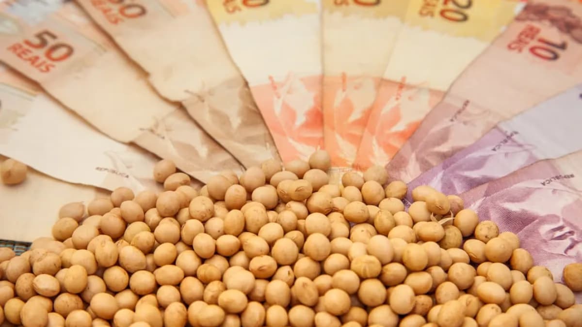 Soja: preços avançam, mas compradores e vendedores distantes