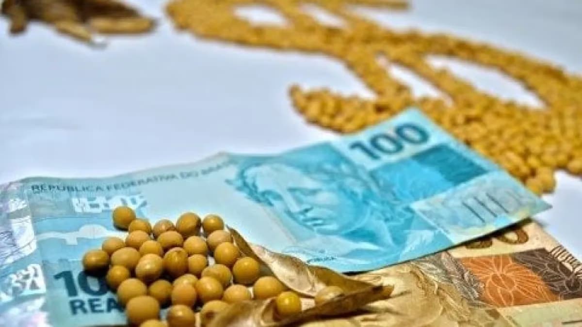 Soja: preços baixos travam negócios no Brasil