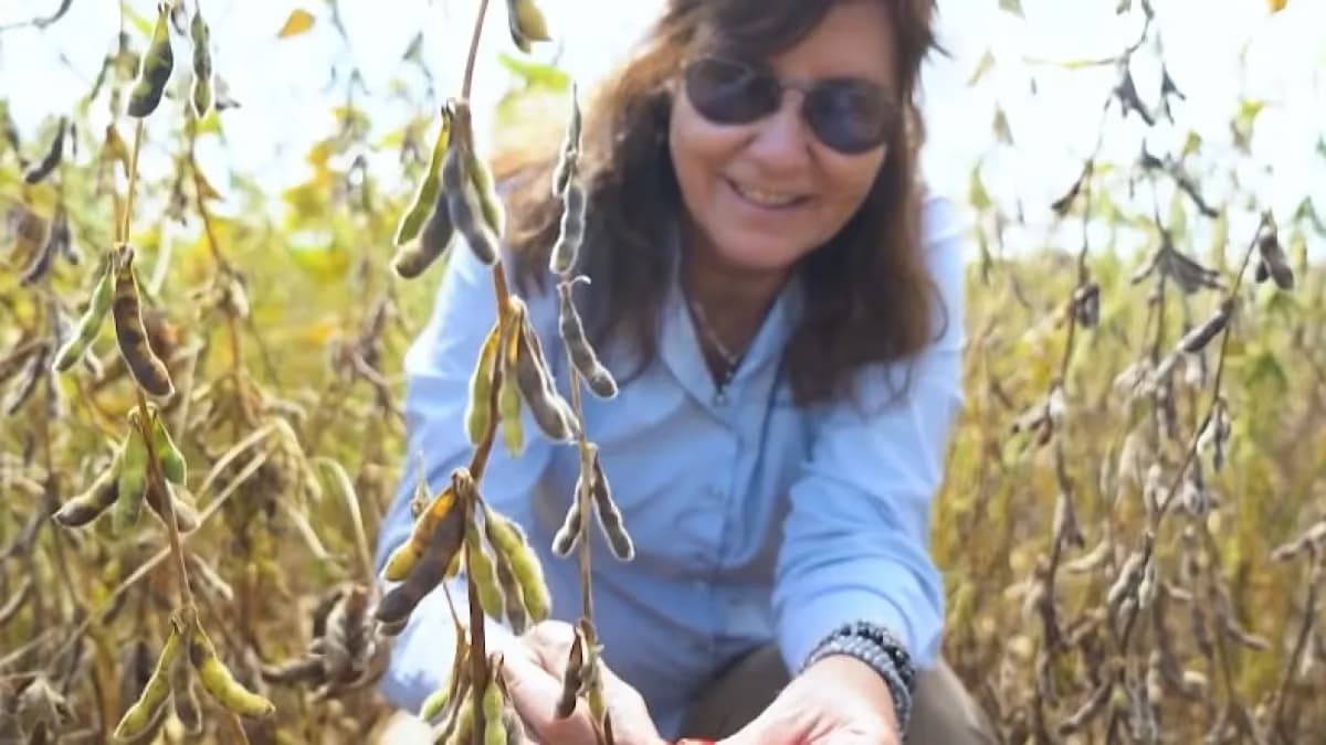 Sustentabilidade dá resultado na soja? Fazenda prova que sim