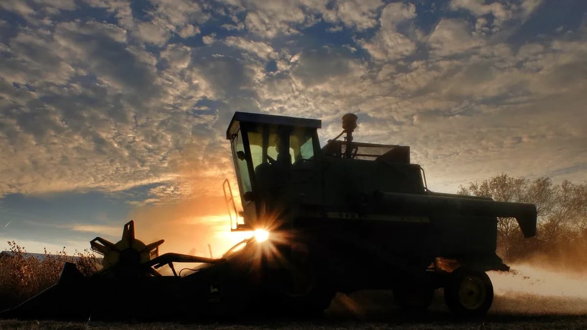 Sustentabilidade dá resultado na soja? Fazenda prova que sim