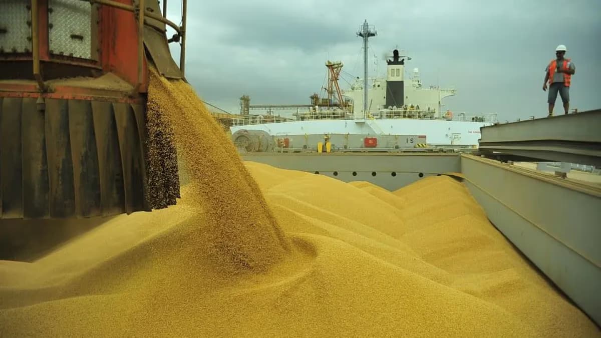USDA eleva soja dos EUA e ajusta projeções para o Brasil