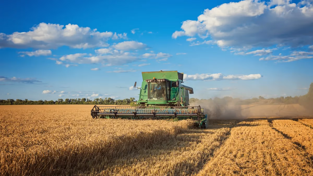 83% do crédito rural da soja teve aderência ao cultivo
