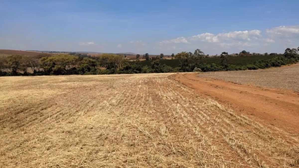 Acre define vazio sanitário para soja em 2026/27