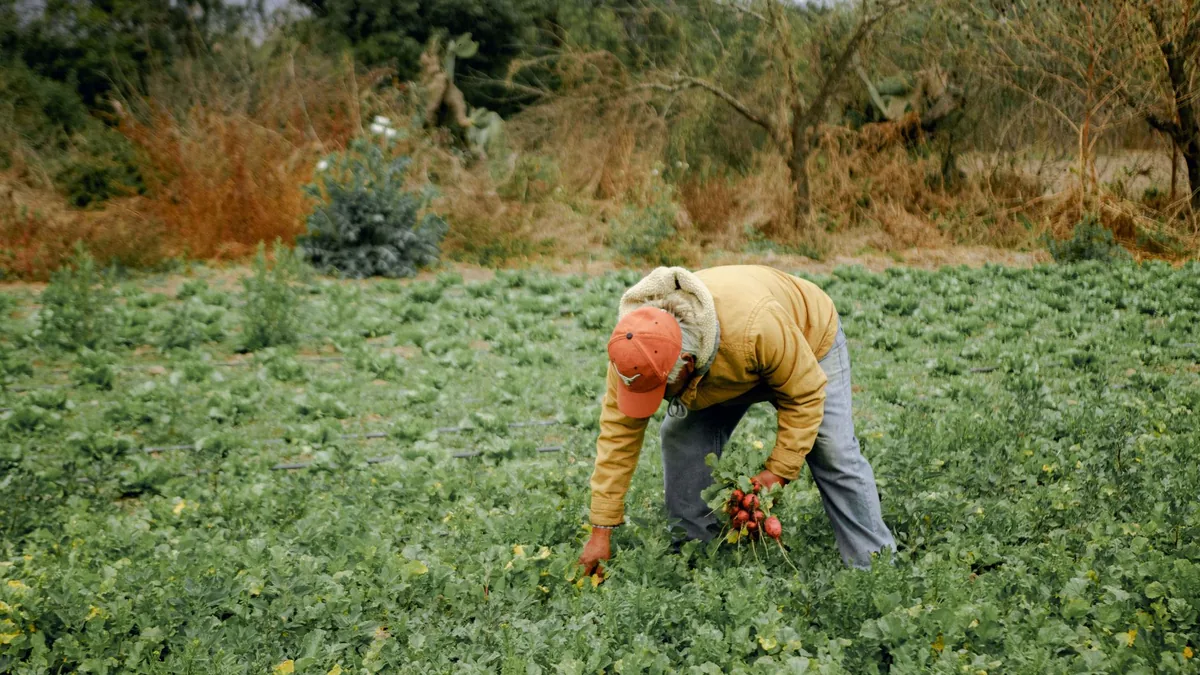 Agricultura familiar emprega 10,1 milhões de trabalhadores no Brasil